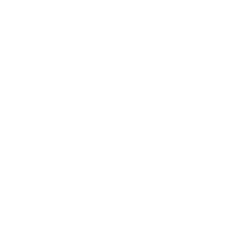 ウェルカムポイントアイコン